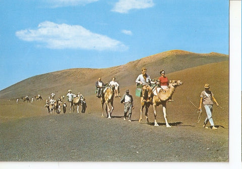 Postal 045362 : Lanzarote. La isla de los volcanes. Caravana de los camellos