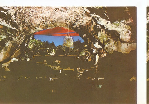 Postal 045364 : Jameos del Agua-Lanzarote
