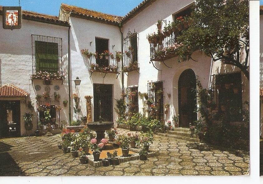 Postal 045463 : Cordoba. Patio tipico en Cardenal Herrero