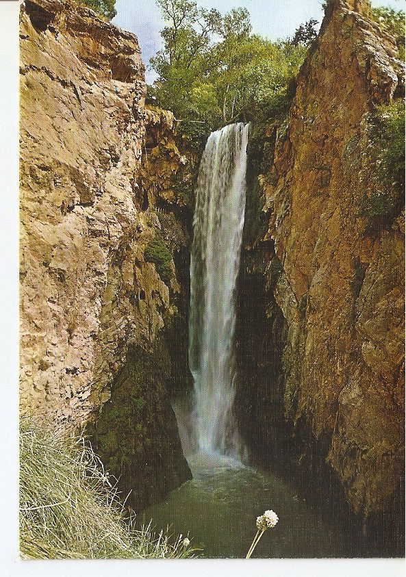 Postal 045521 : Monasterio de Piedra (Zaragoza). Cola de Caballo