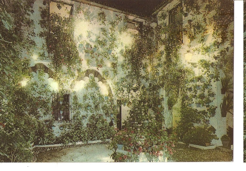 Postal 045555 : Cordoba. Patio tipico