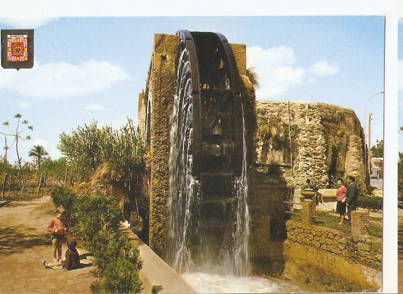 Postal 045596 : Murcia. Rueda de La Ñora