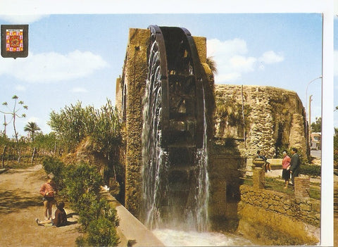 Postal 045596 : Murcia. Rueda de La Ñora