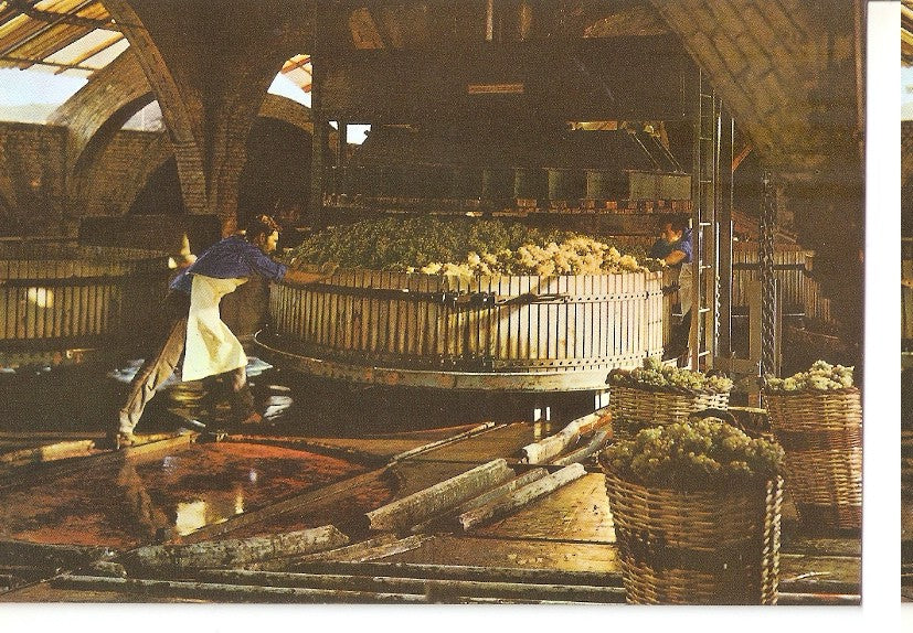 Postal 045644 : Cavas Codorniu. Prensado de la uva