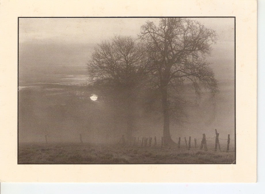 Postal 045692 : Ocaso