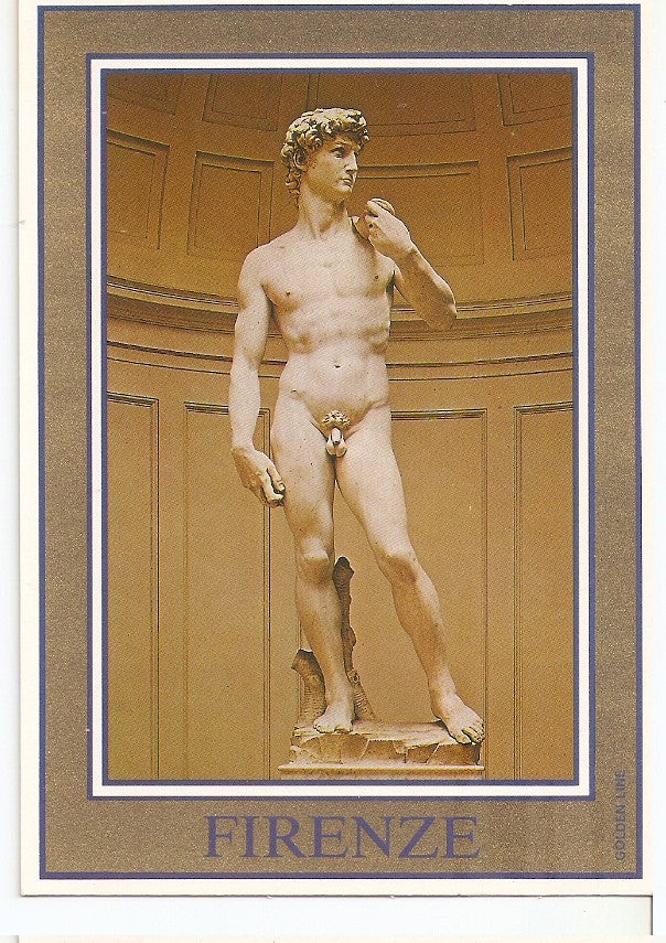Postal 045735 : Firenze - Galleria dellAccademia. David by Michelangelo