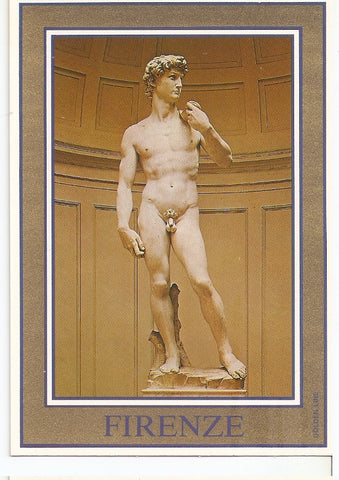 Postal 045735 : Firenze - Galleria dellAccademia. David by Michelangelo