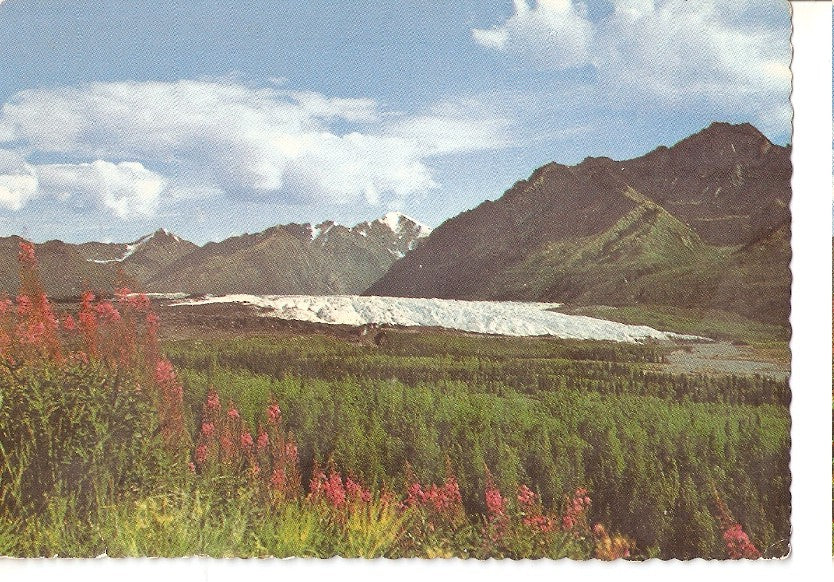 Postal 045768 : Matanuska Glacier