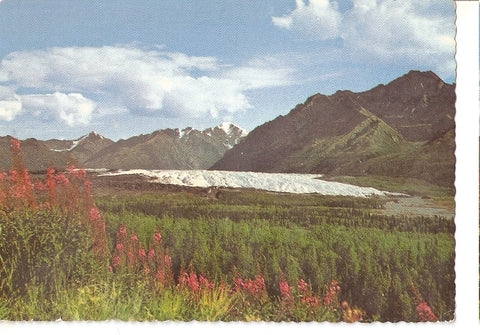 Postal 045768 : Matanuska Glacier