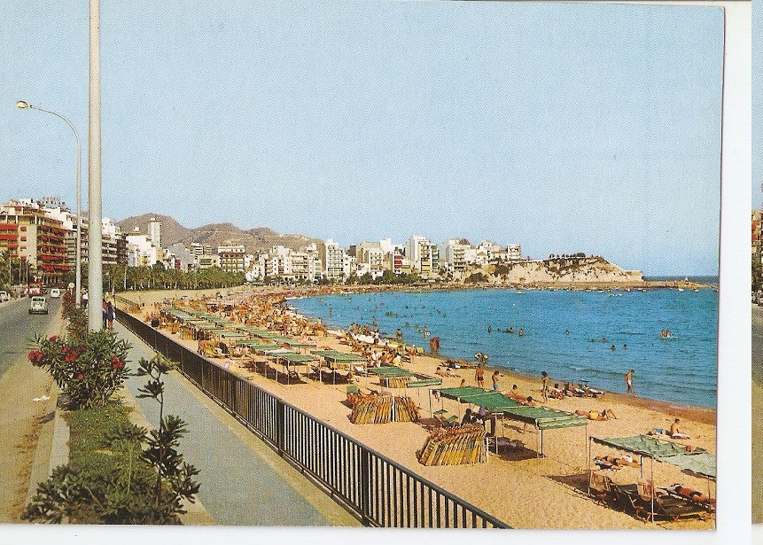 Postal 045827 : Costa Blanca. Benidorm. Paseo y playa