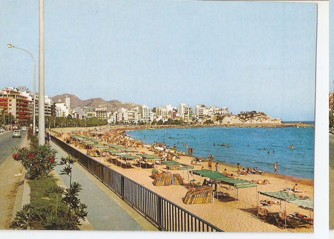 Postal 045827 : Costa Blanca. Benidorm. Paseo y playa