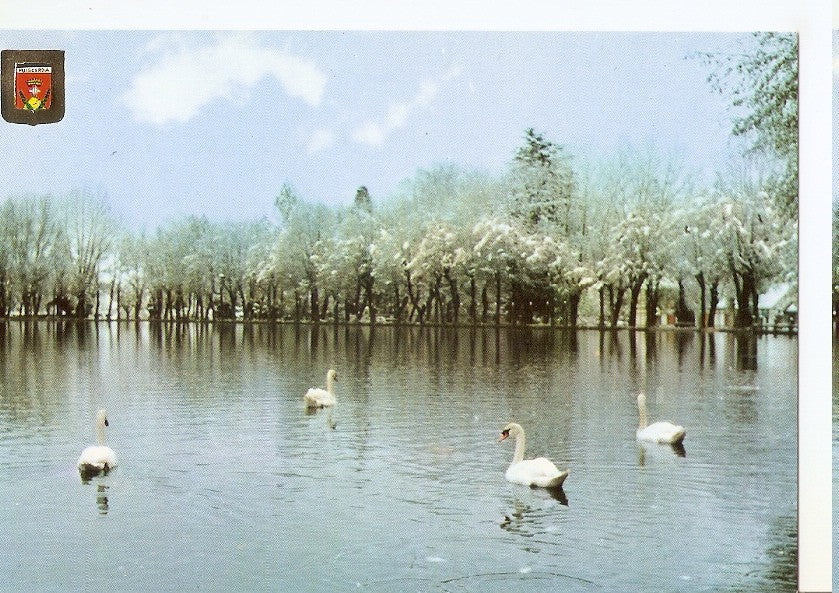 Postal 045835 : Puigcerda. Girona. Llac