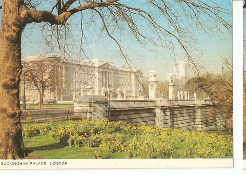 Postal 045842 : Buckingham Palace London