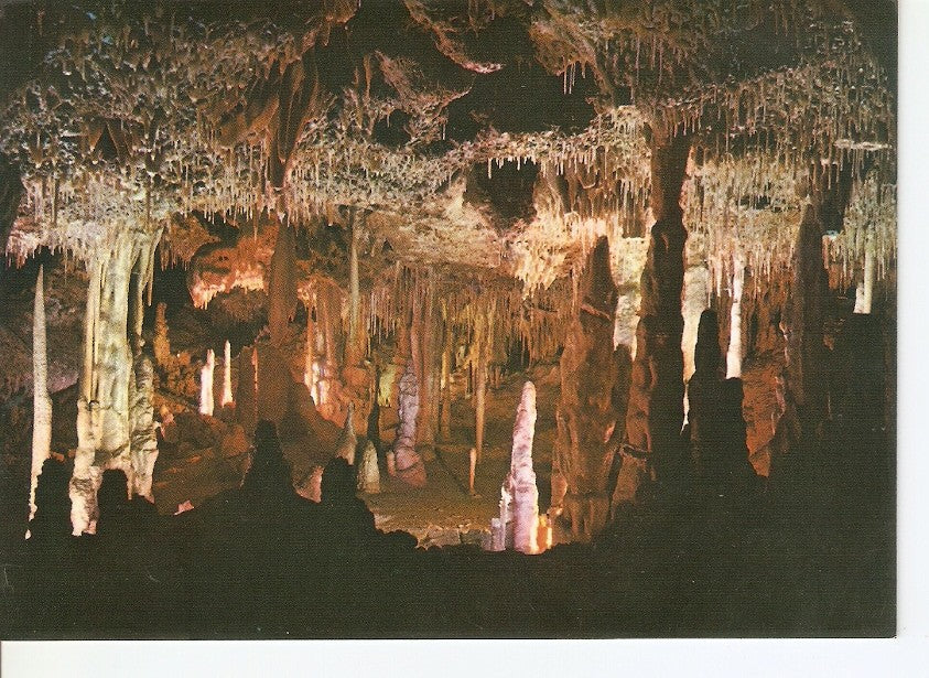 Postal 045882 : Mallorca. Porto Cristo. cuevas