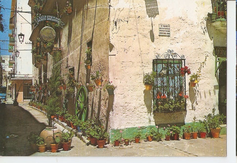 Postal 046011 : Cadiz. Calle de los Duros Antiguos