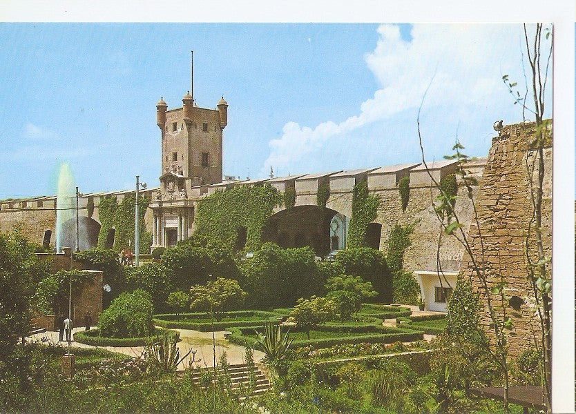 Postal 046022 : Cadiz. Puerta de Tierra