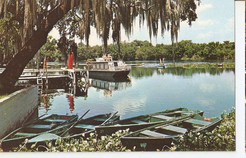 Postal 046044 : Beatiful scenic Florida waterways