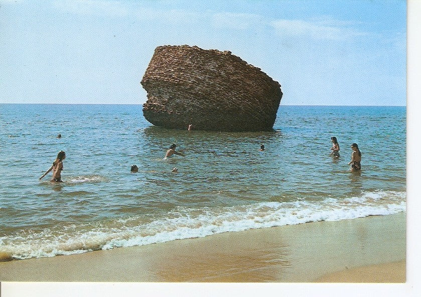 Postal 046131 : San Sebastian. Paseo y playa de la Concha
