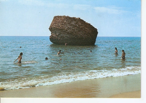 Postal 046131 : San Sebastian. Paseo y playa de la Concha
