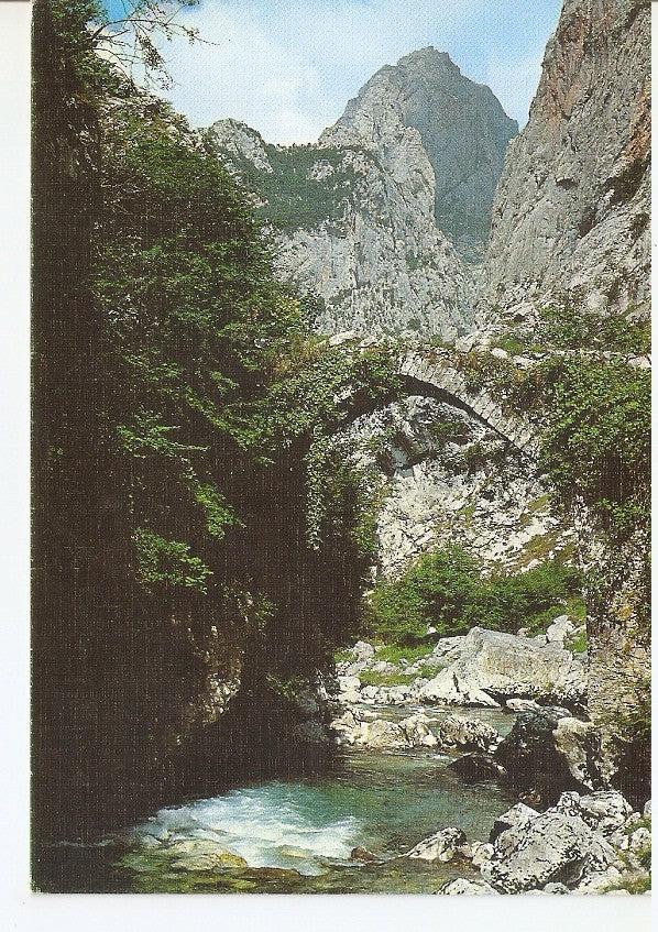 Postal 046166 : Vizcaya. Castillo de Butron