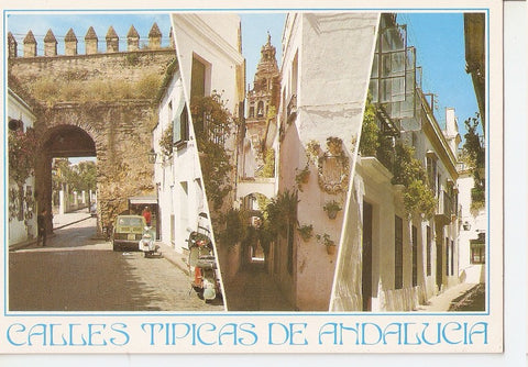 Postal 046213 : Cordoba. Calles tipicas