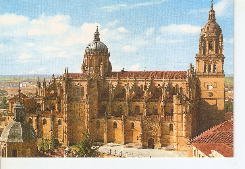 Postal 046228 : Salamanca. Catedral 