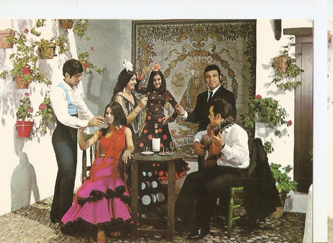 Postal 046229 : España es diferente. Escena tipica Andaluza