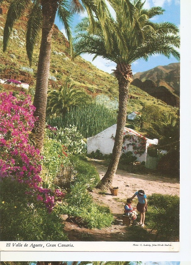 Postal 046261 : El Valle de Agaete Gran Canaria