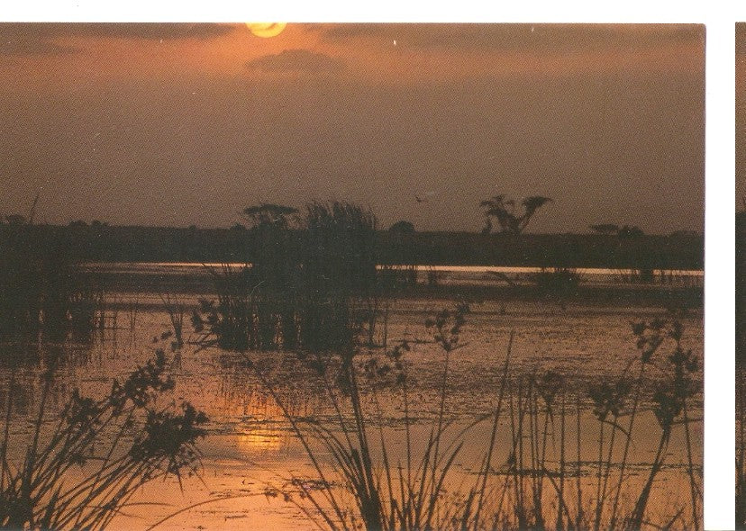 Postal 046447 : Sunset on a lake in the Wilderness of Africa
