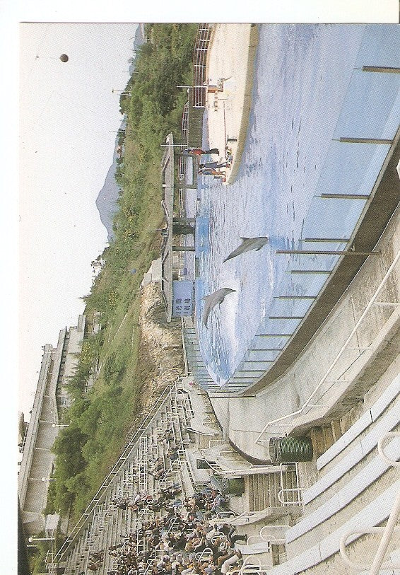 Postal 046467 : Ocean park