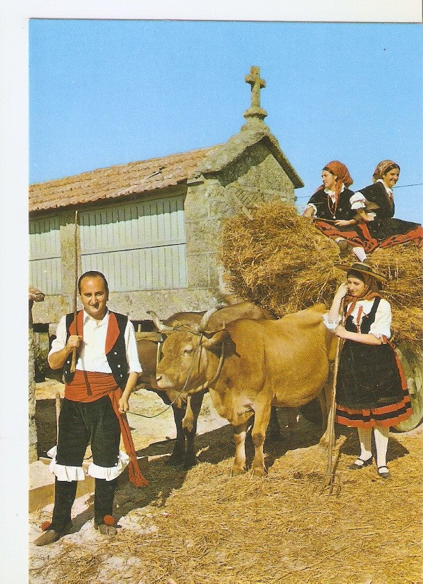 Postal 046514 : Galicia. Volta de Seitura