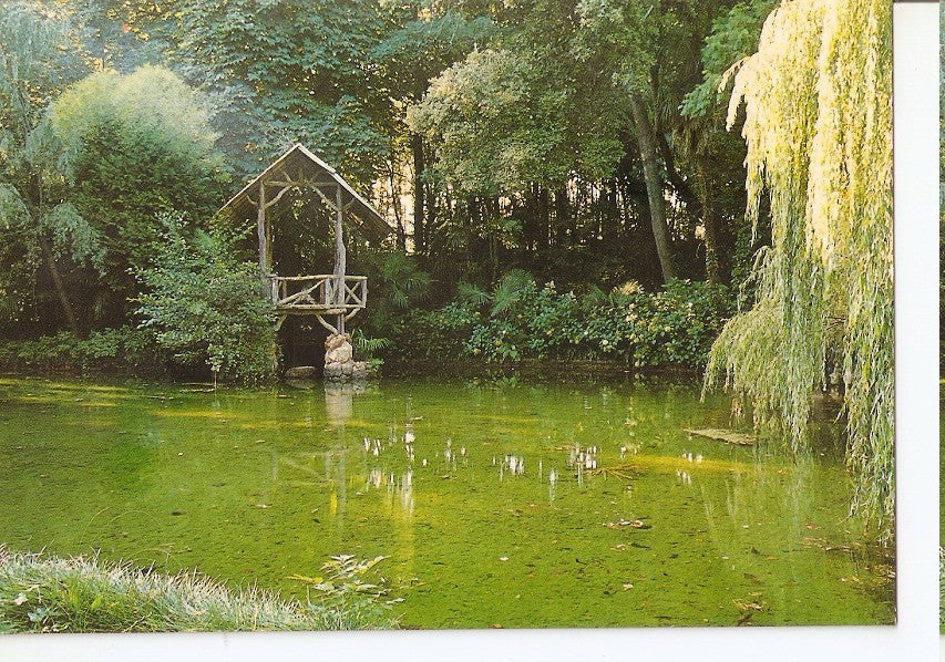 Postal 046579 : Arbucias. Lago del Hotel Parque