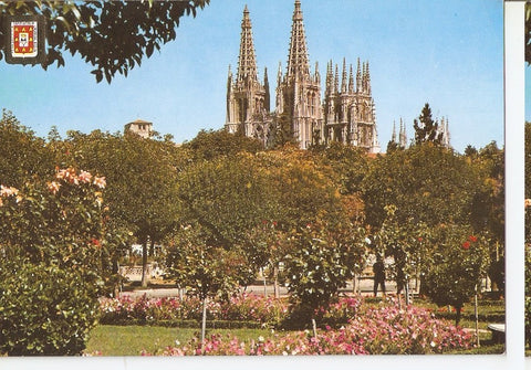 Postal 046591 : Burgos. La Catedral