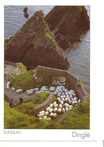 Postal 046632 : Dunquin. Dingle