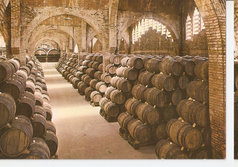 Postal 046656 : Cavas Codorniu. Una bodega  