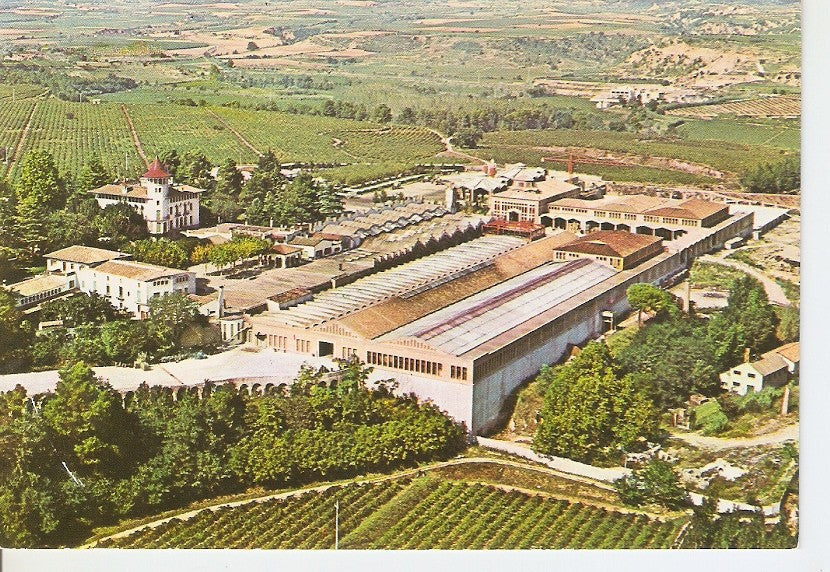 Postal 046657 : Cavas Codorniu. Exteriores