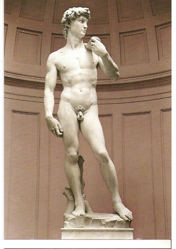 Postal 046671 : Firenze. David del Michelangelo
