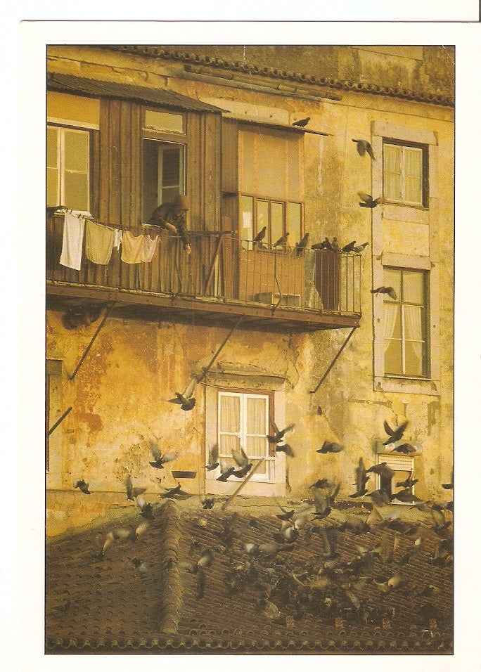Postal 046749 : Lisboa Antiga
