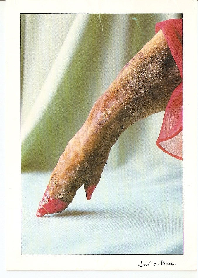 Postal 046758 : Seduccio porcina