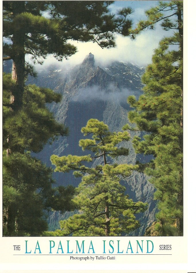 Postal 046792 : La Palma. Caldera de Taburiente