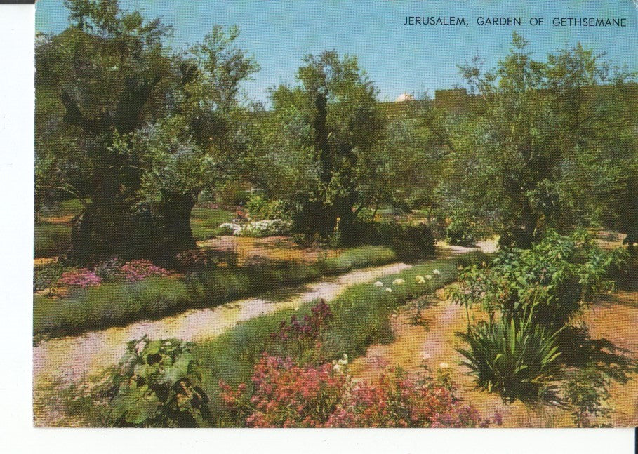 Postal-Postcard 17520: JERUSALEM - Garden of Gethsemane
