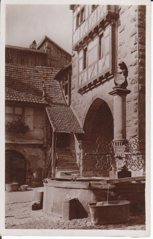 Postal-Postcard 17338: REICHENWEIER - Der Brunnen beim Dolder
