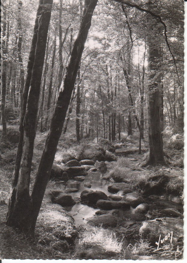 Postal-Postcard 17372: HUELGOAT Finistere - Ruisseau dans la foret