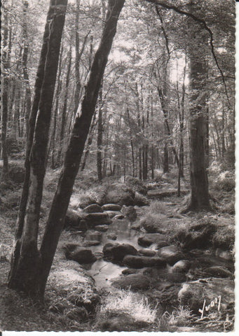 Postal-Postcard 17372: HUELGOAT Finistere - Ruisseau dans la foret
