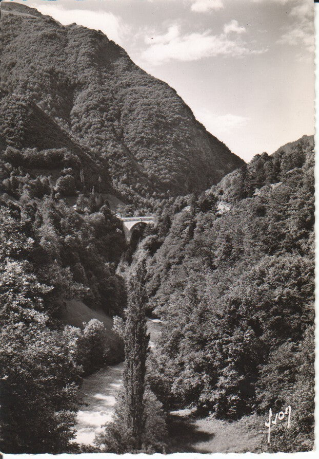Postal-Postcard 17384: LUZ ST SAUVEUR - Le Pont Napoleon et le Gave