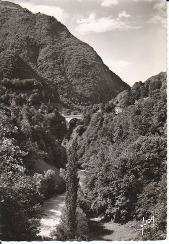 Postal-Postcard 17384: LUZ ST SAUVEUR - Le Pont Napoleon et le Gave