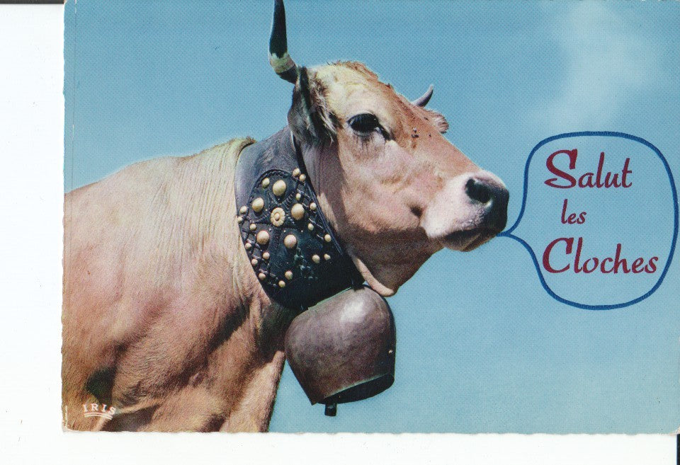 Postal-Postcard 17436: FOTO DE VACA CON CENCERRO - Texto de la postal: Salut les Cloches