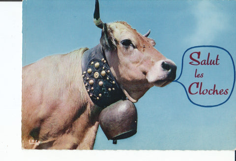 Postal-Postcard 17436: FOTO DE VACA CON CENCERRO - Texto de la postal: Salut les Cloches