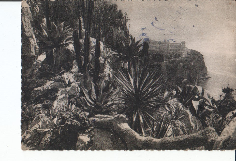 Postal-Postcard 17494: LA COTE AZUR - MONTE CARLO Les Jardins exotiques et le Rocher de Monaco