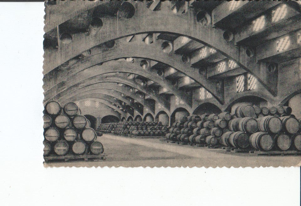 Postal-Postcard 17500: CASA CODORNIU - Bodega de caves CODORNIU